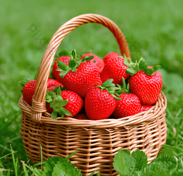 A traditional Nemi strawberry tart filled with custard and topped with fresh wild strawberries, the symbol of the Sagra della Fragola